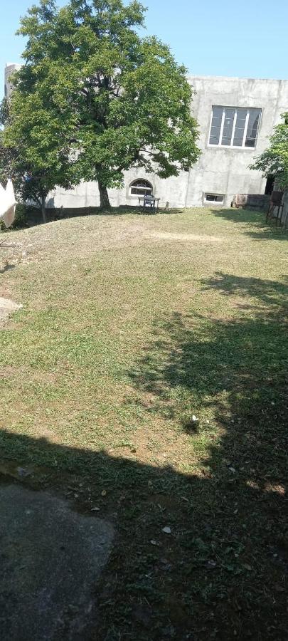 Гостевой Дом В Гагре Gagra Exterior foto